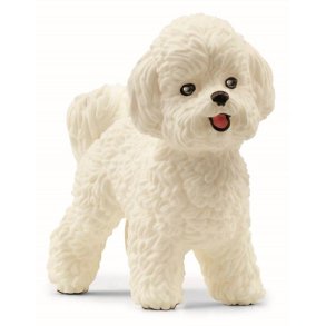 Schleich - Bichon Frisé